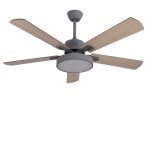 Five leaf ceiling fan with light