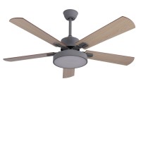 Five leaf ceiling fan with light