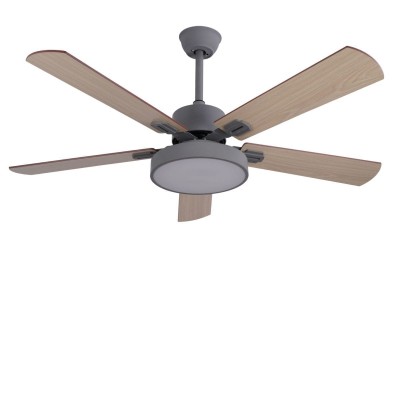 Five leaf ceiling fan with light
