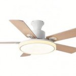 Circular light with ceiling fan