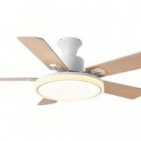 Circular light with ceiling fan